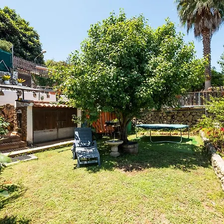 Vakantiehuis La Hortensia Icod De Los Vinos