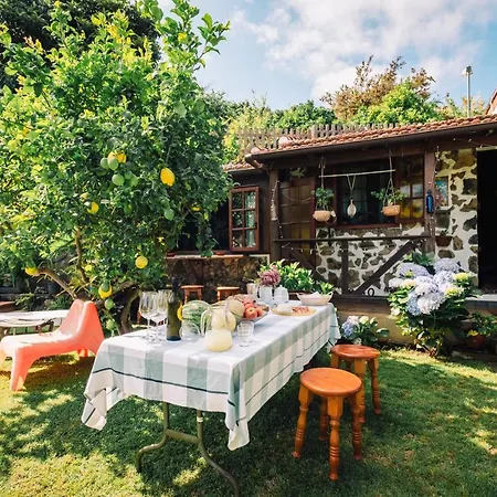 La Hortensia Icod De Los Vinos