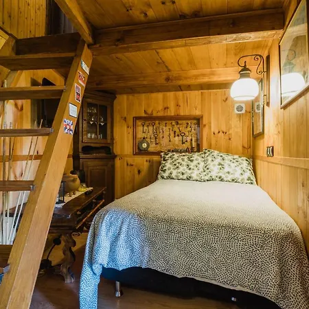 La Hortensia * Icod De Los Vinos