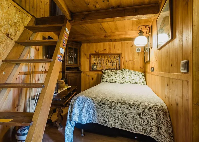 La Hortensia * Icod De Los Vinos